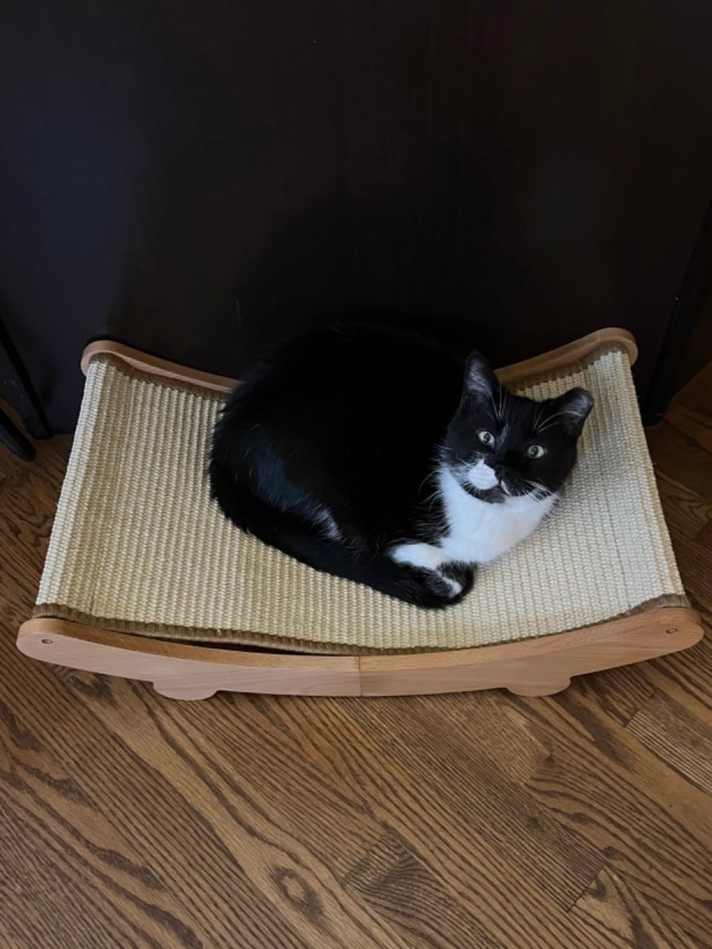 Kala Lounge Scratcher Bed