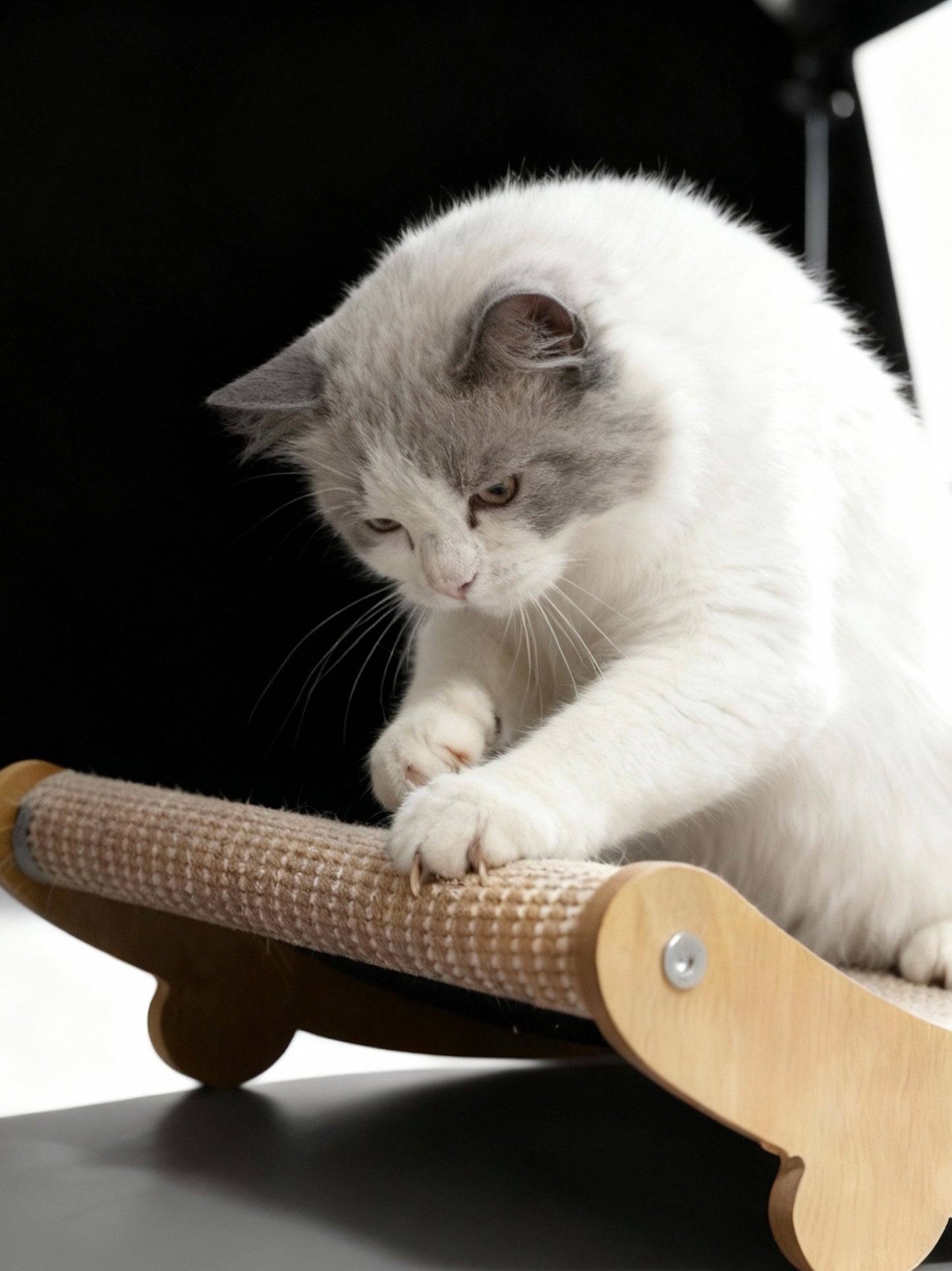 Kala Lounge Scratcher Bed