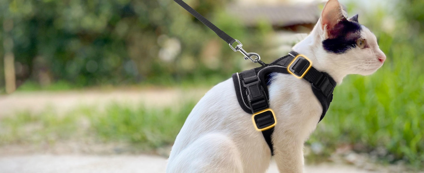 Kala Cat Harness & Leash Set
