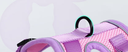Kala Cat Harness & Leash Set