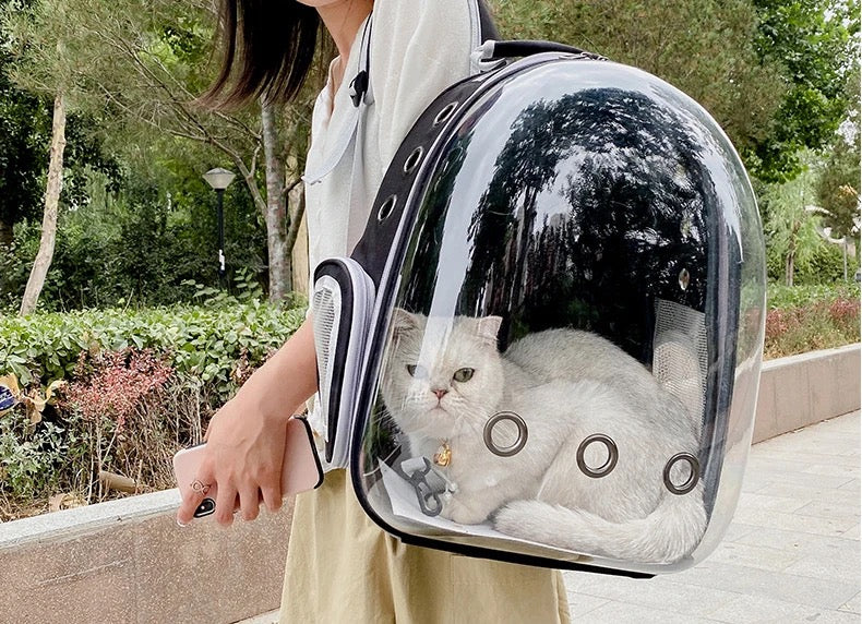 Kala Capsule Backpack