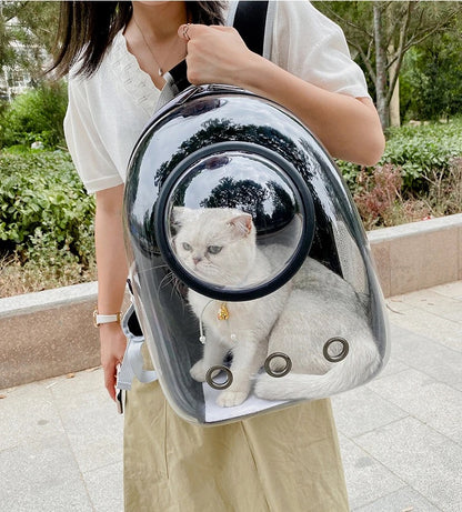 Kala Capsule Backpack