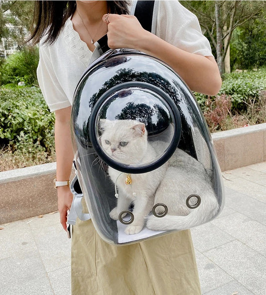 Kala Capsule Backpack