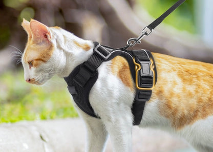 Kala Cat Harness & Leash Set