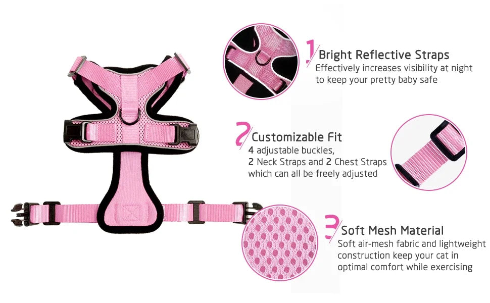 Kala Cat Harness & Leash Set